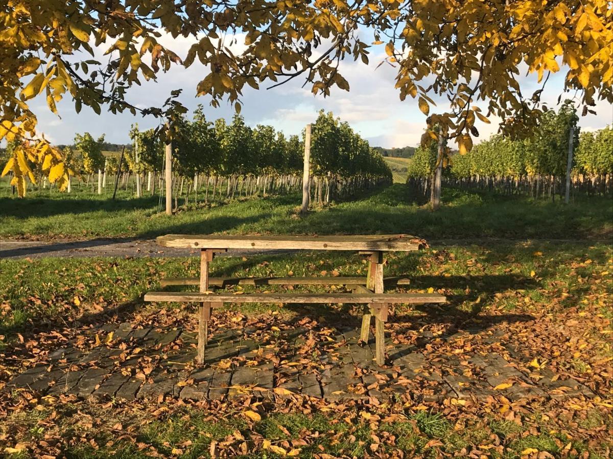 Weingut & Gastezimmer EdelmannGöttlesbrunn エクステリア 写真