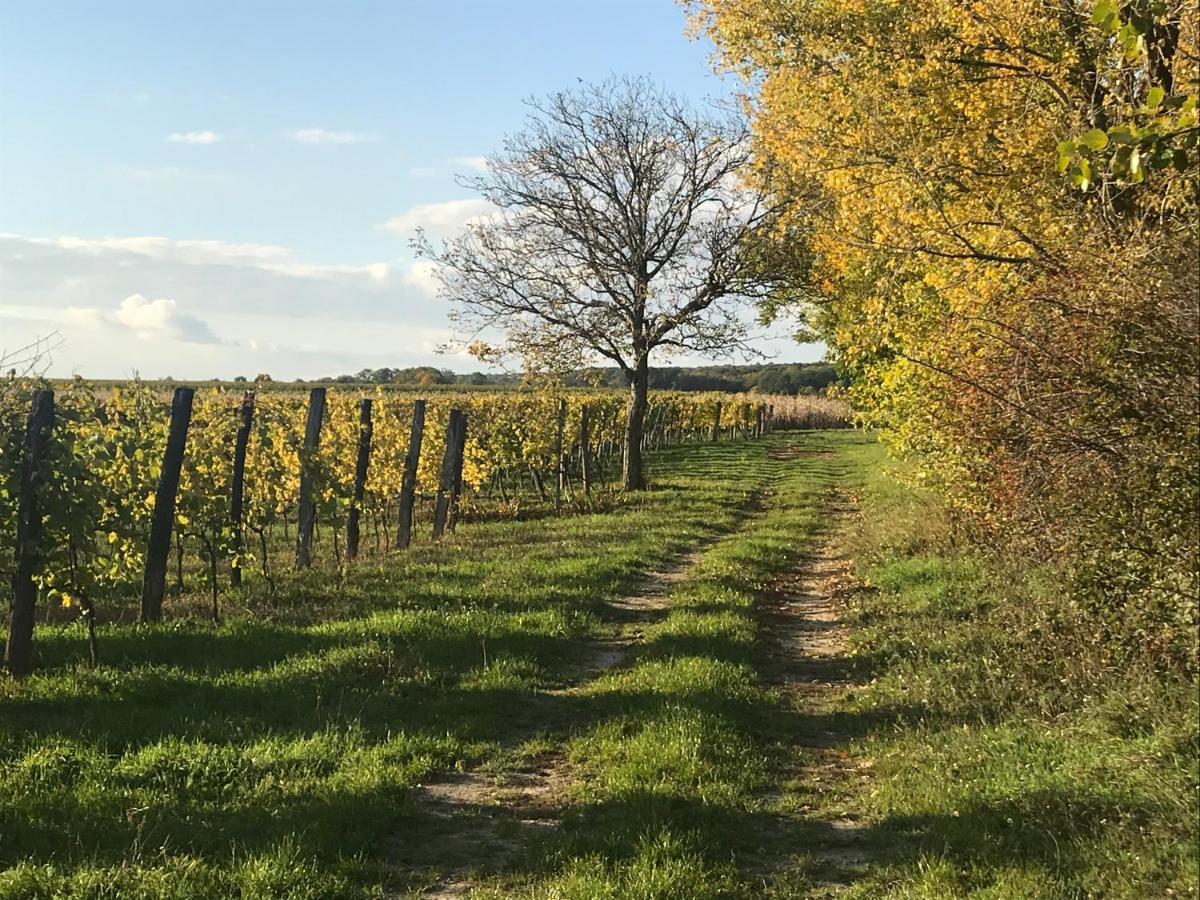 Weingut & Gastezimmer EdelmannGöttlesbrunn エクステリア 写真